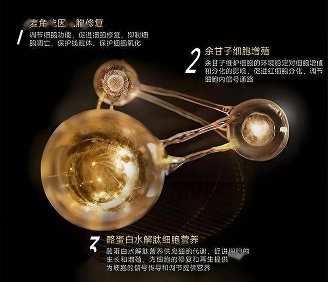ic外汇平台怎么样定州市开展慰问困境母亲活动